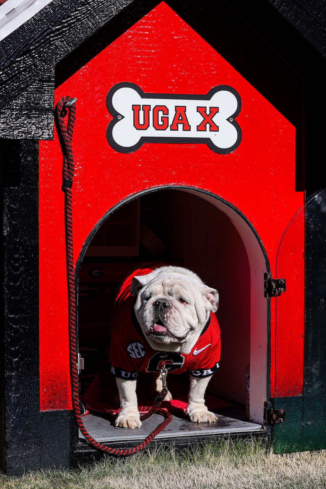 Georgia Bulldogs National Championship Celebration (1/14/23)